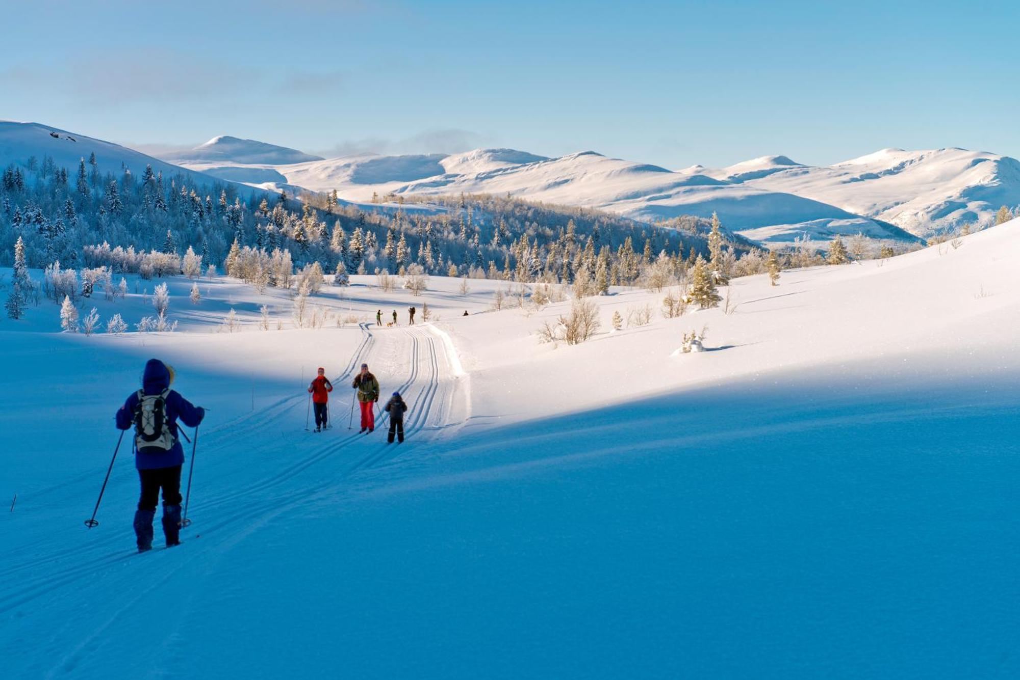Spidsbergseter Resort Rondane Venabygd Ngoại thất bức ảnh
