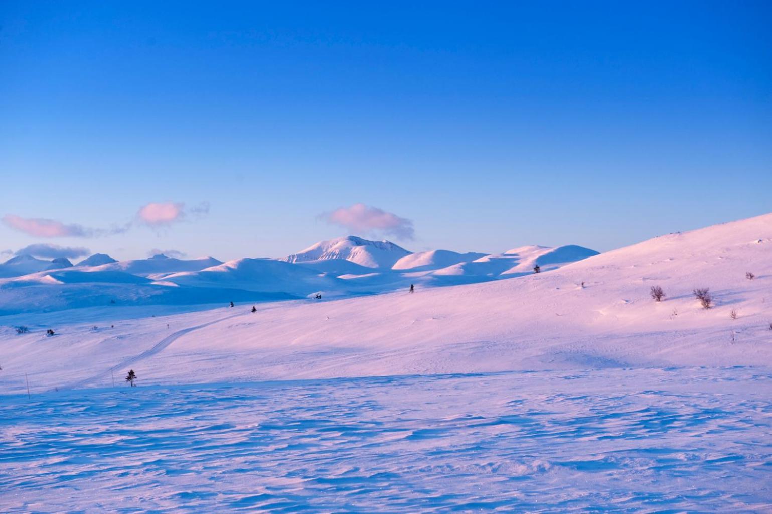 Spidsbergseter Resort Rondane Venabygd Ngoại thất bức ảnh