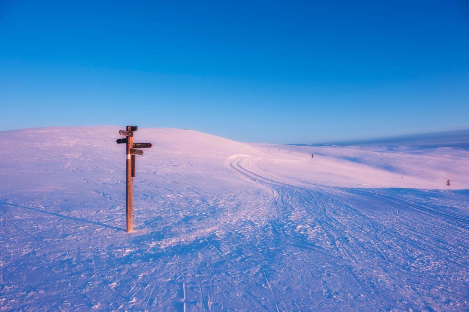 Spidsbergseter Resort Rondane Venabygd Ngoại thất bức ảnh