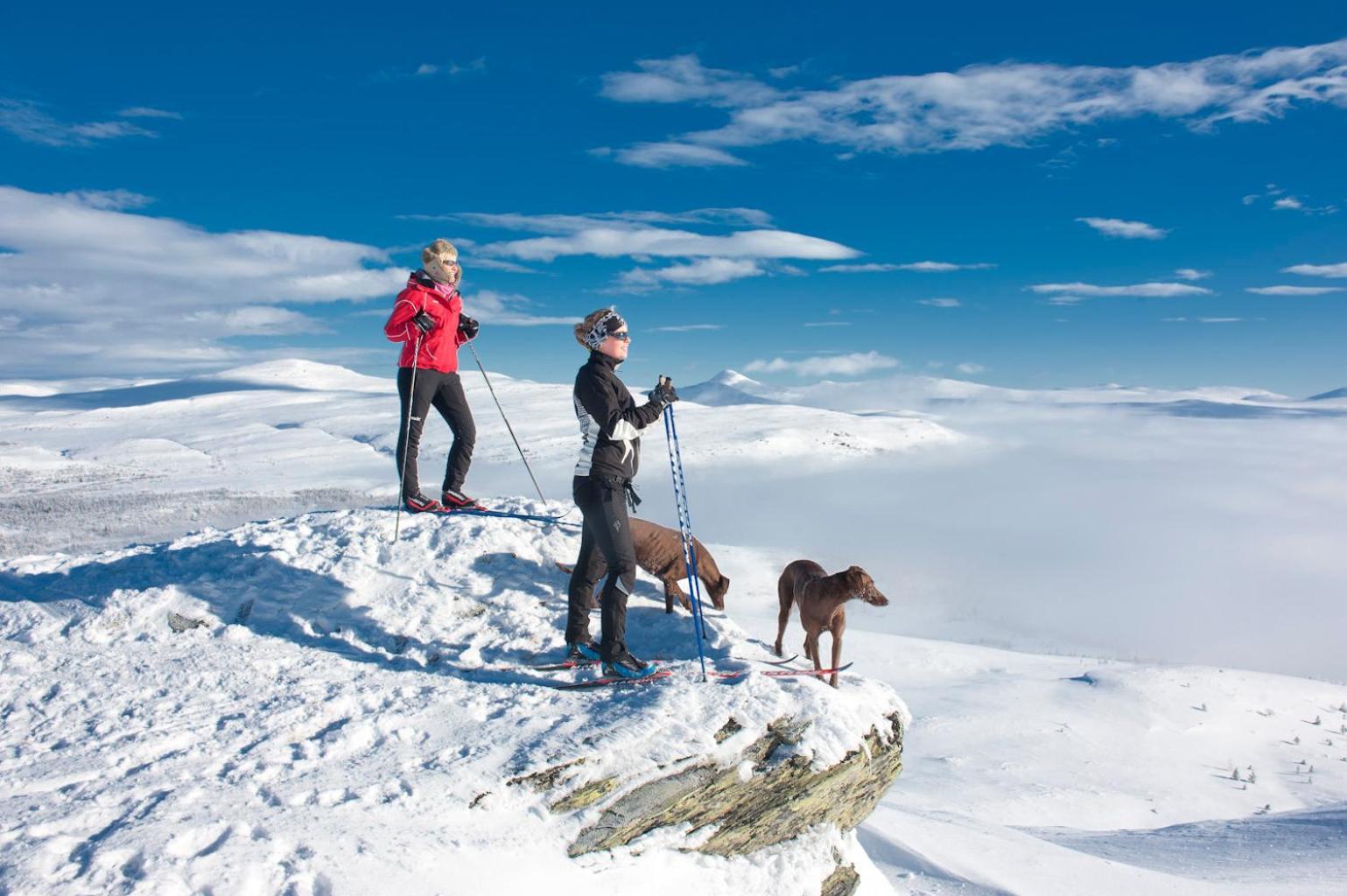Spidsbergseter Resort Rondane Venabygd Ngoại thất bức ảnh