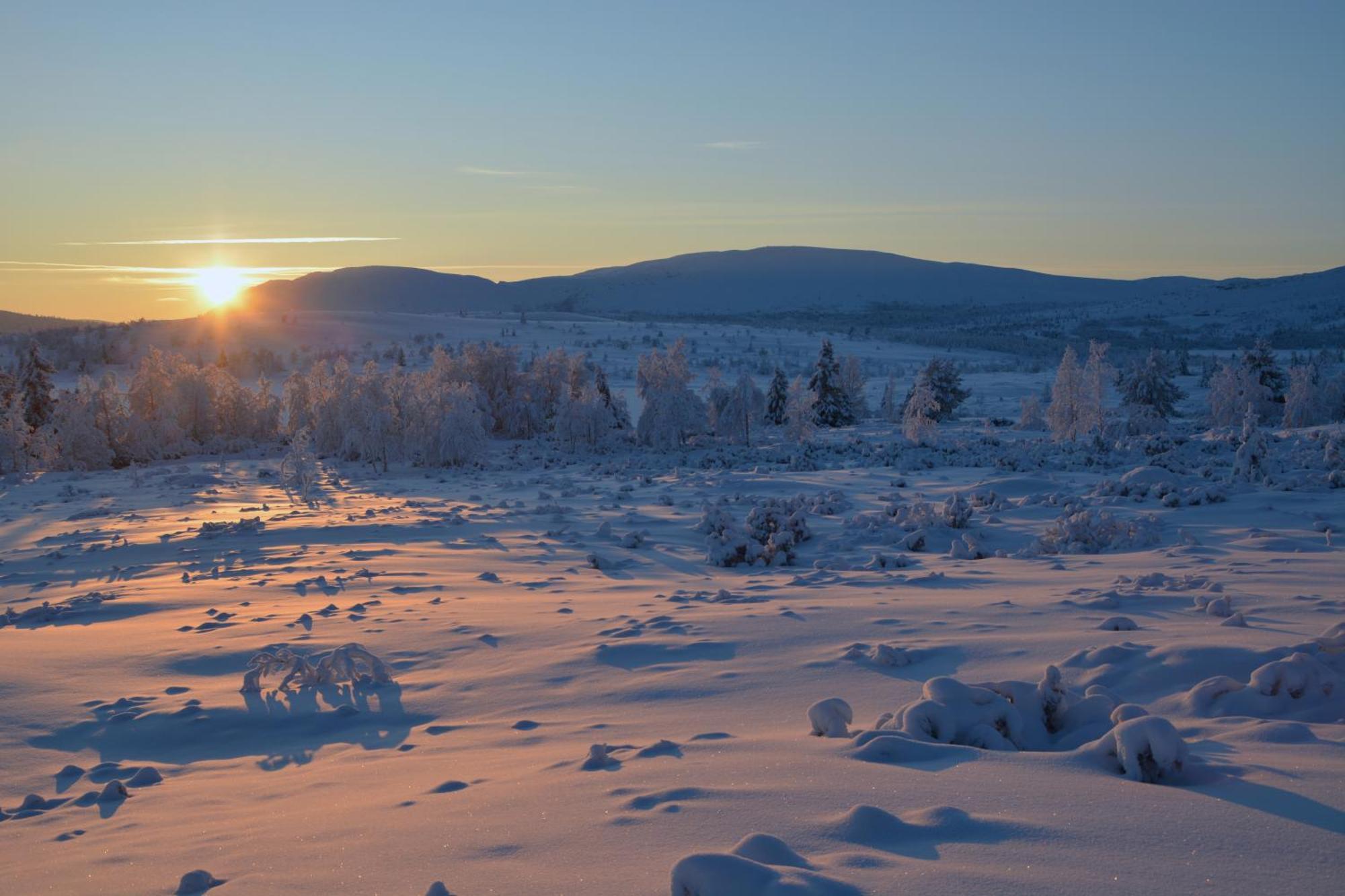 Spidsbergseter Resort Rondane Venabygd Ngoại thất bức ảnh