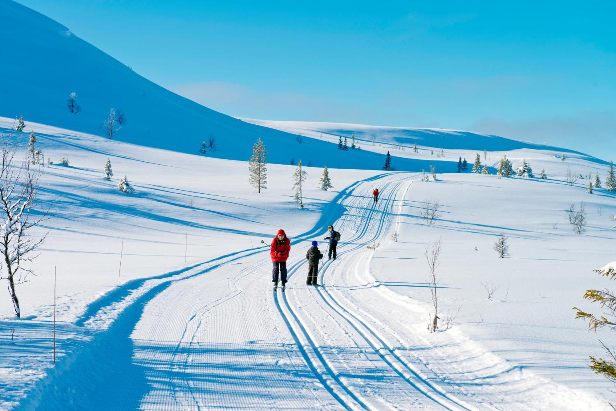 Spidsbergseter Resort Rondane Venabygd Ngoại thất bức ảnh