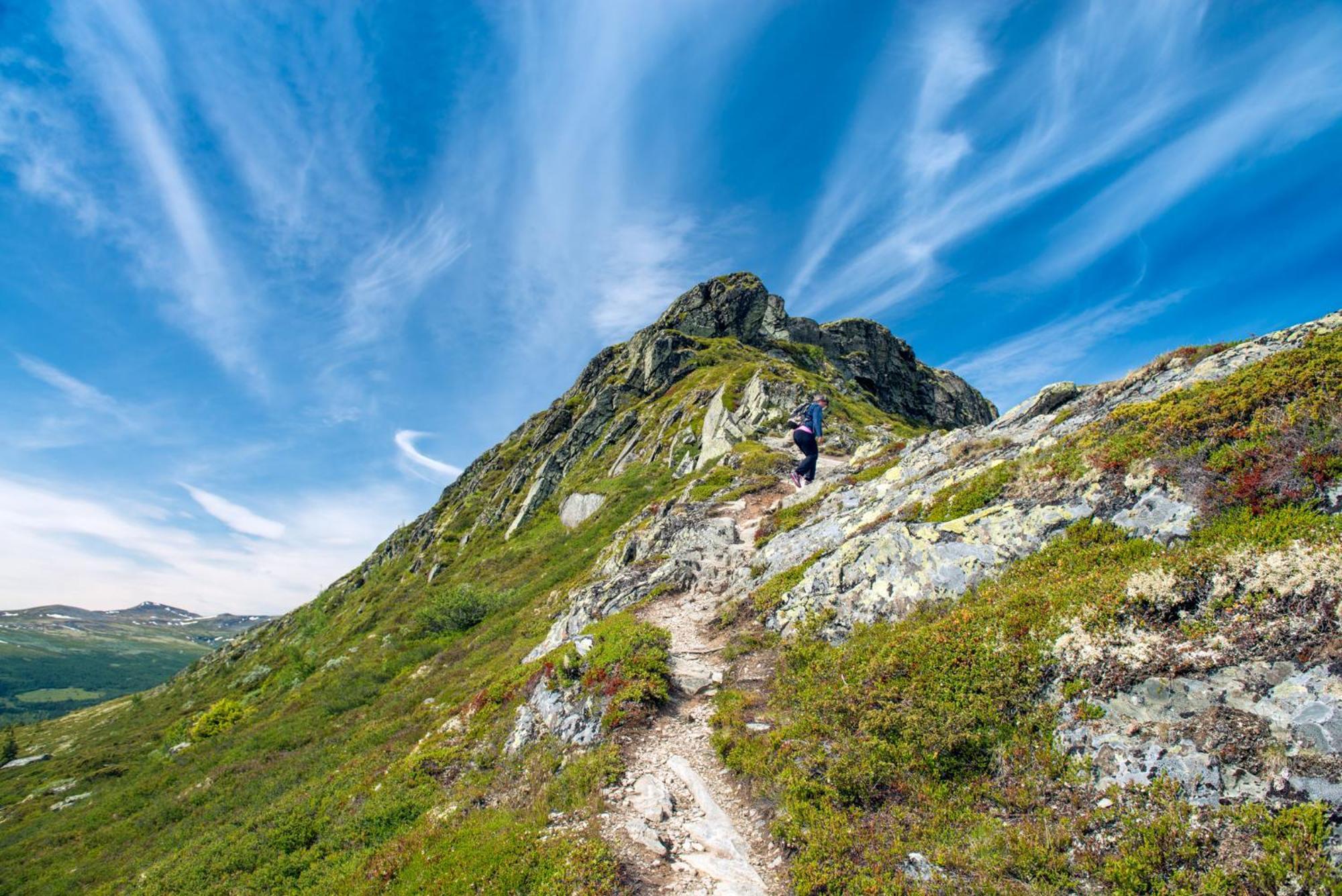 Spidsbergseter Resort Rondane Venabygd Ngoại thất bức ảnh
