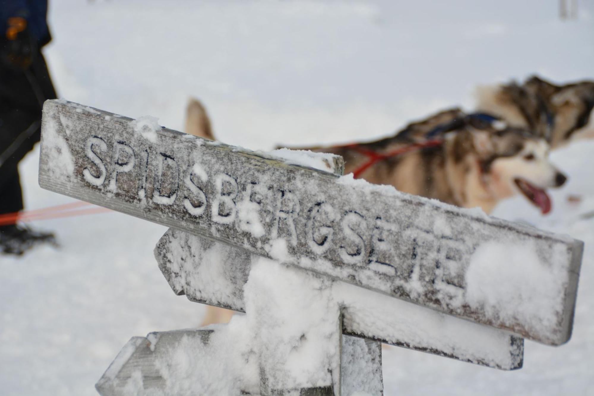 Spidsbergseter Resort Rondane Venabygd Ngoại thất bức ảnh